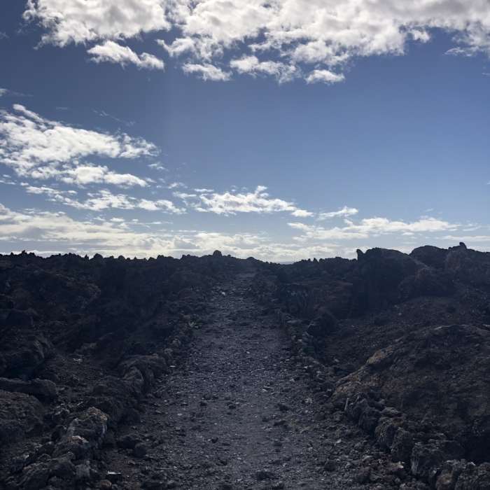 Trail Near King's Highway AKA Hoapili Trail