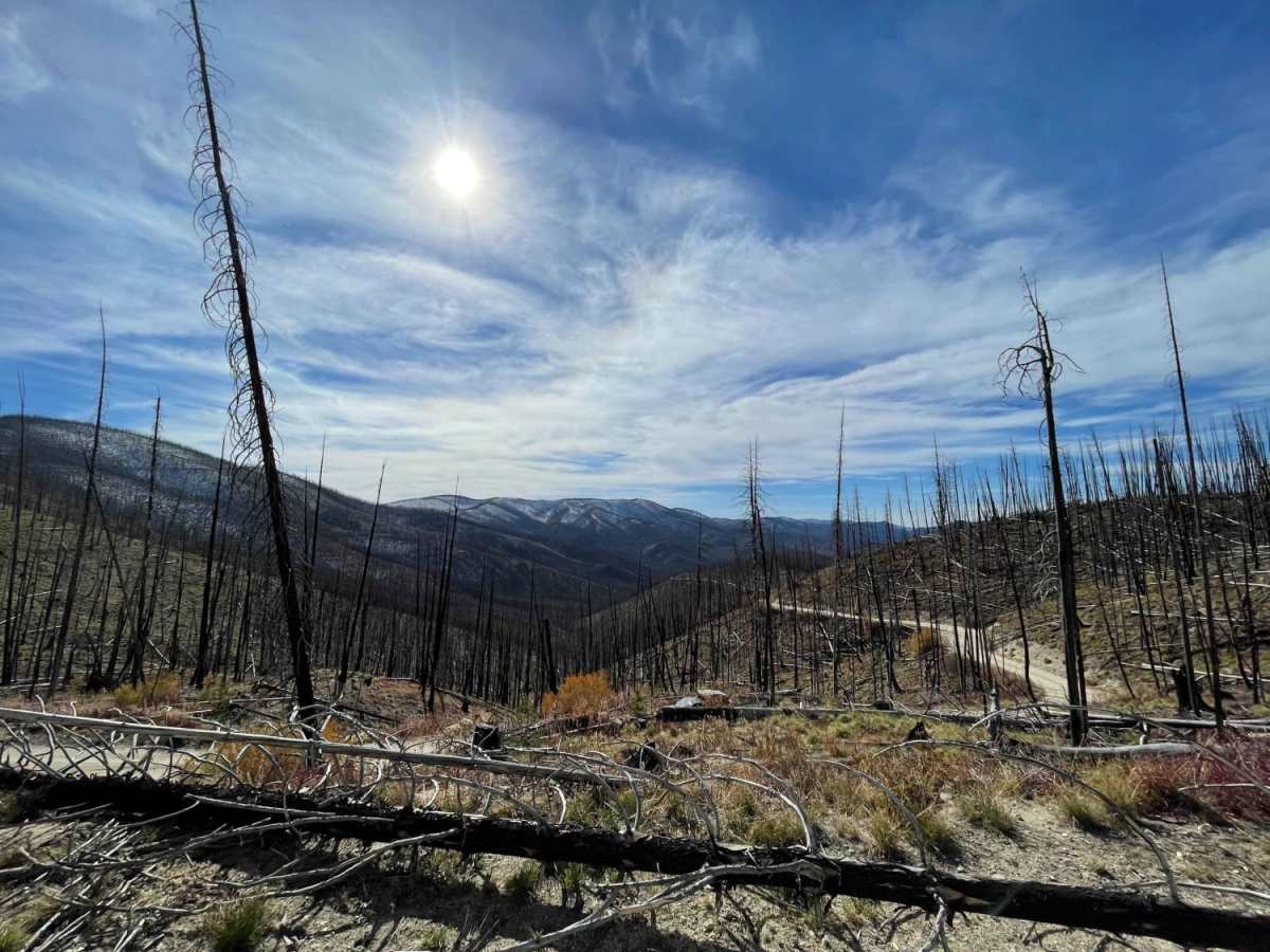 Horse Creek photo 6