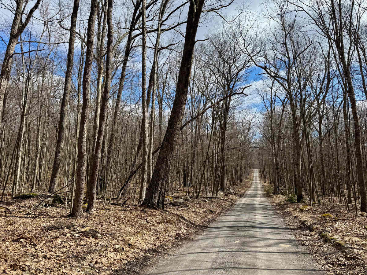 Jerry Ridge Road photo 4