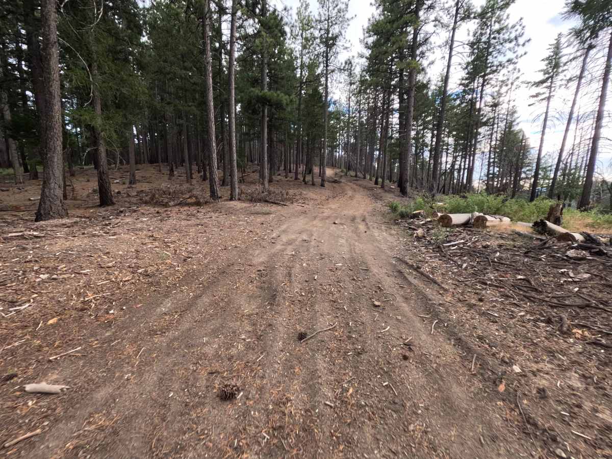 Kern Point - FS 20N55 photo 5