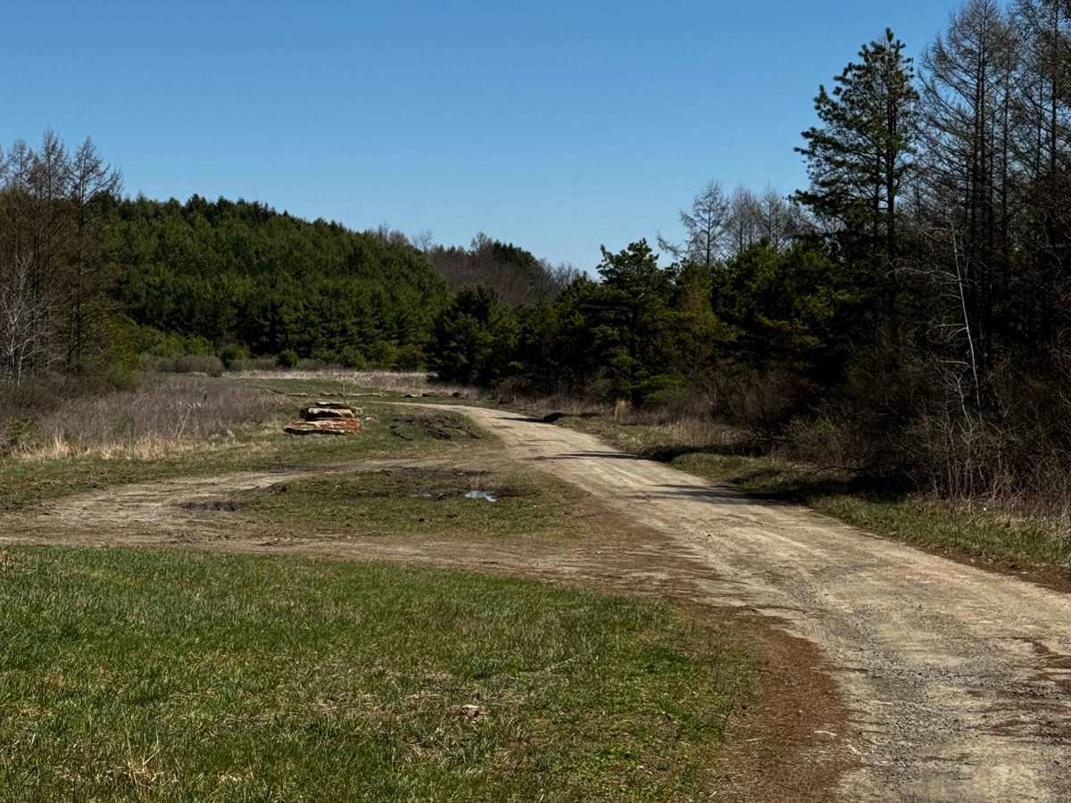Logway Run Trail photo 3