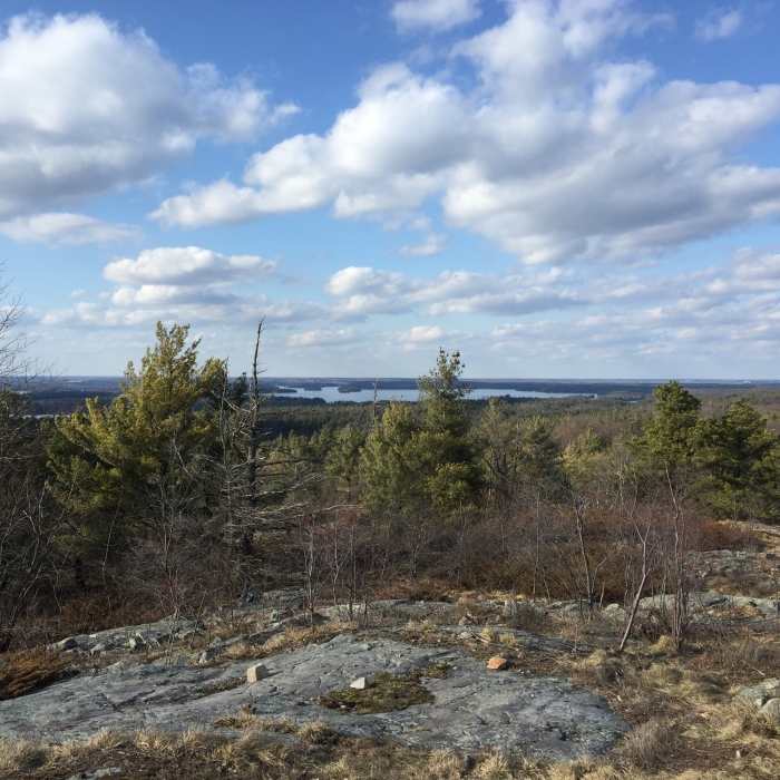 View of Charleston Lake Near Blue Mountain Trail - South