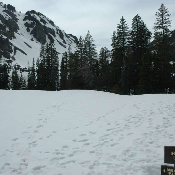 Iron Bog Lake 5/29/16 Near Iron Bog Lake Out-and-Back
