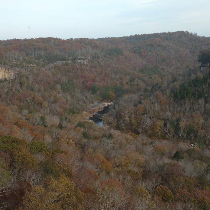 Blue Heron Overlook shows signs of the season in December. Near Blue Heron Overlook Trail Spur