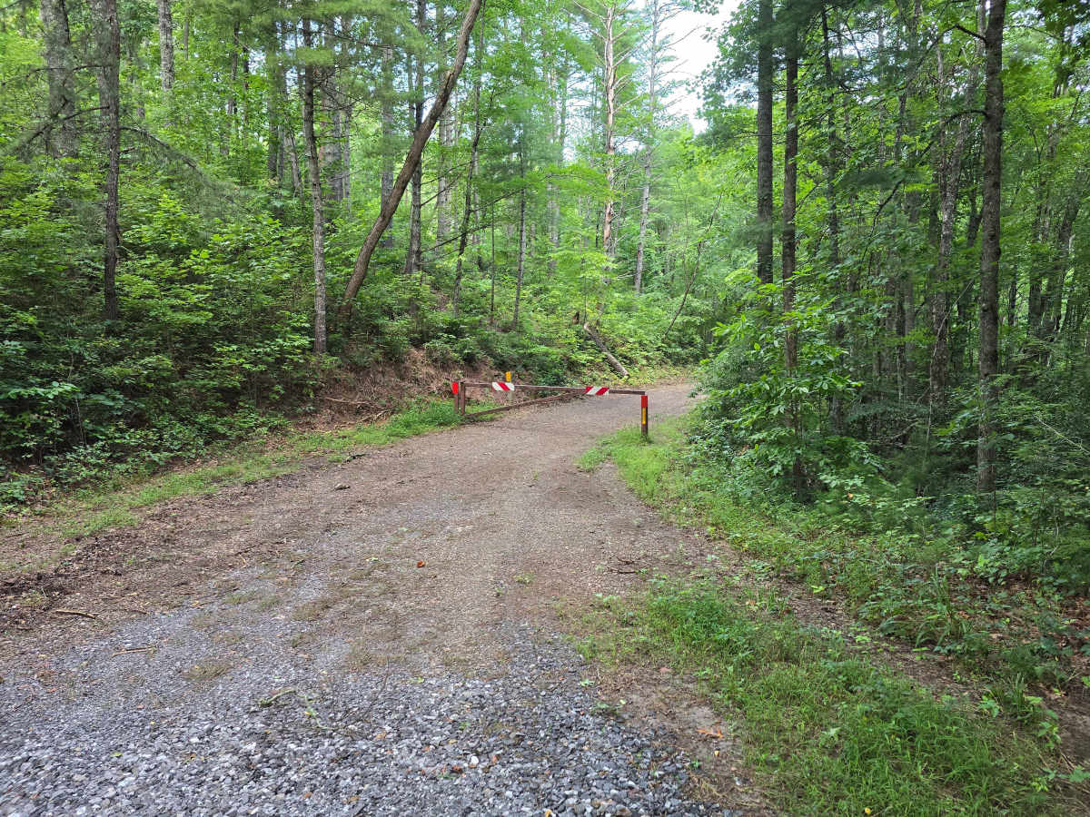 Leatherwood Road - FS 6176 photo 5