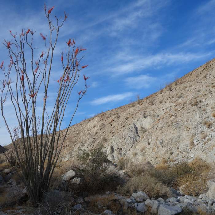Near Canebreak Canyon to Prom 2300