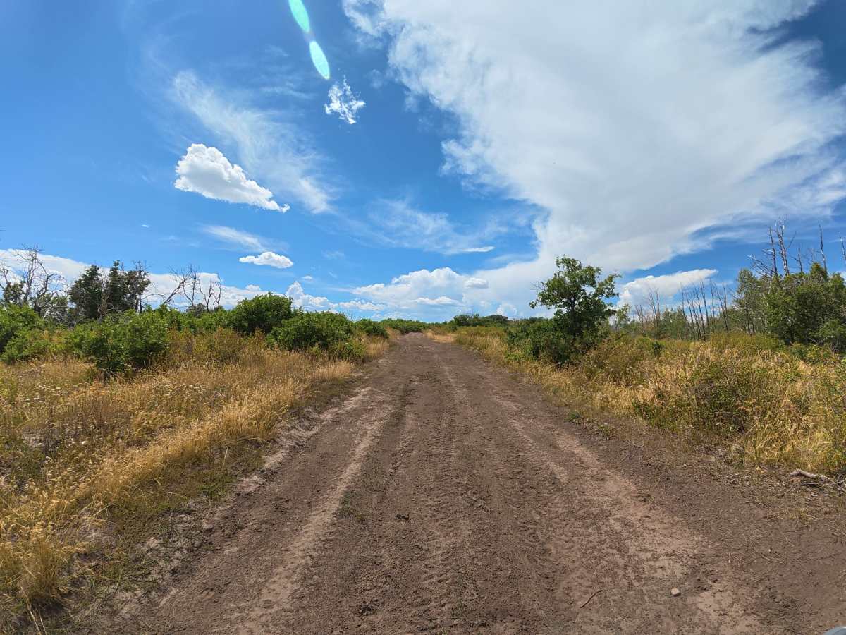 Johnson Basin Road photo 4