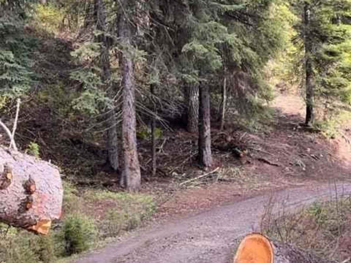 Full Creek Crossing photo 5