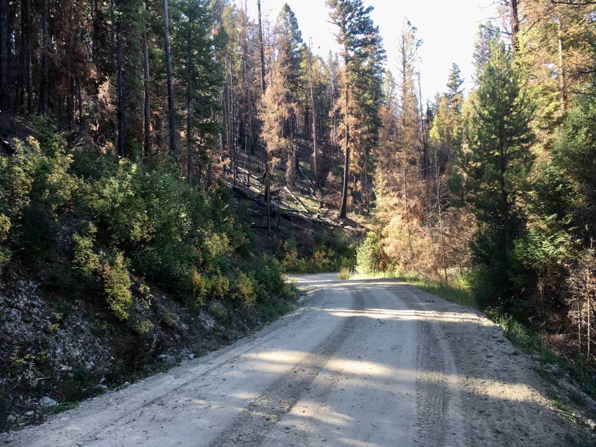 Lick Creek Road photo 4