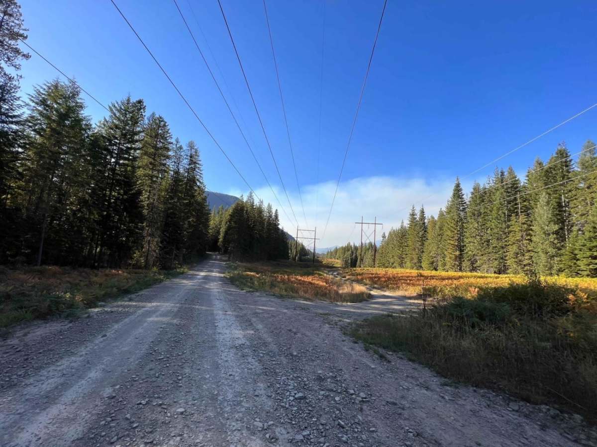 Stevens Creek Road photo 5