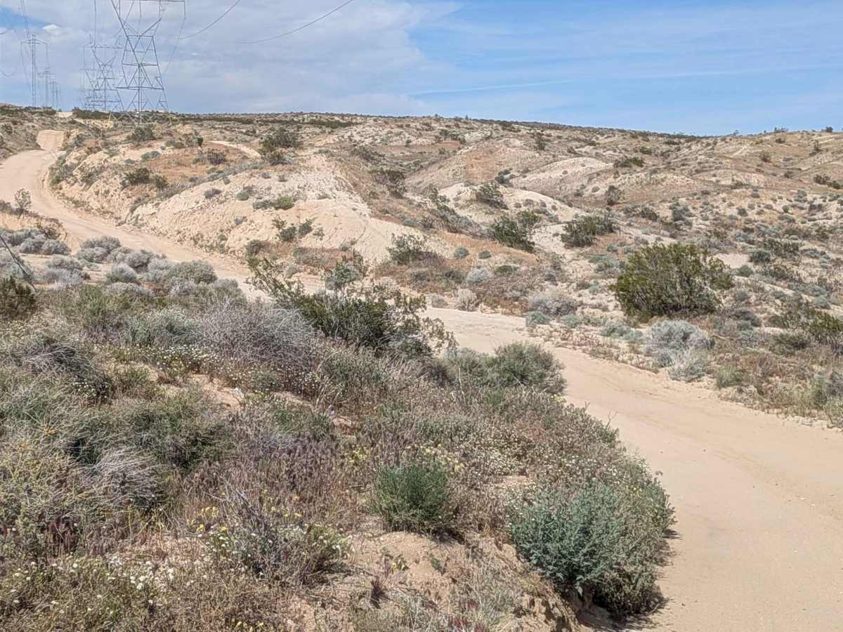 BLM LAP Dove Springs OHV photo 5