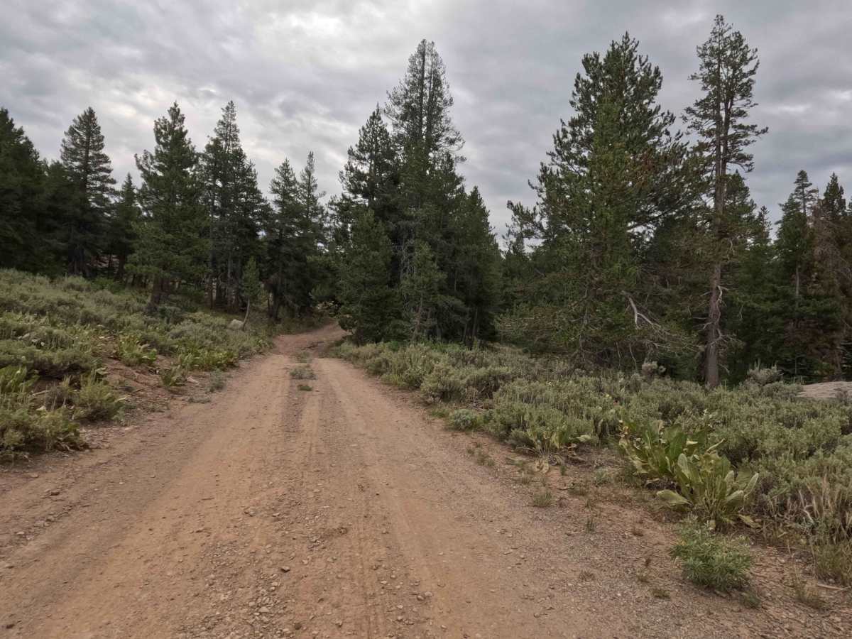 Lower Charity Road - FS 31206 photo 2