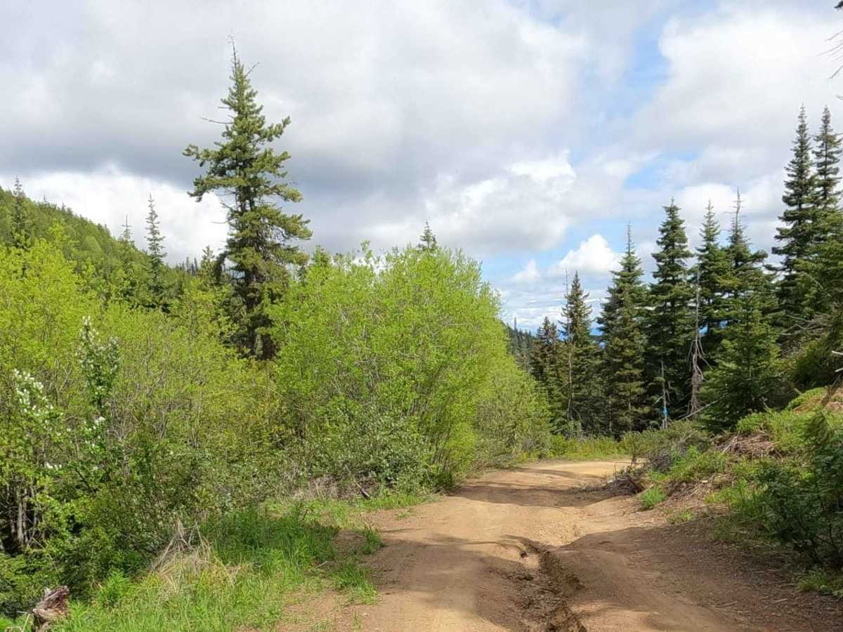 Iron Creek - Blewett Tie - NF9714-113 photo 3