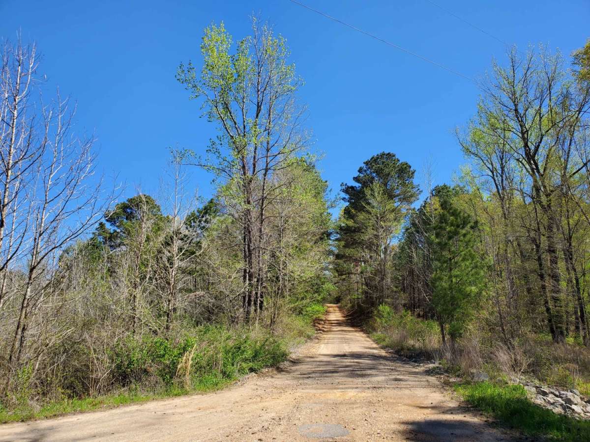 The Arkansas Overland Route - Section 2 - Highway 371 to Road 113 photo 6