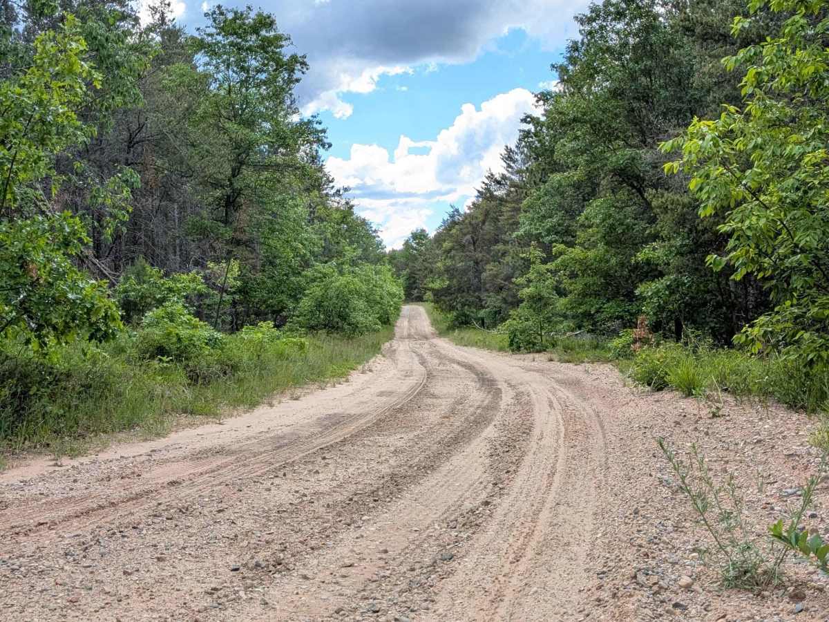O'Brien Lake Road - FS 4061 photo 6