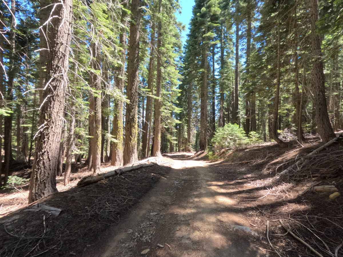 Fir Cap Trail - South Segment - FS 10E22 photo 2