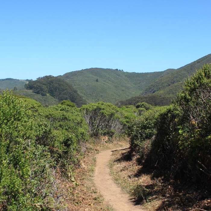 Near Brooks Creek Trail