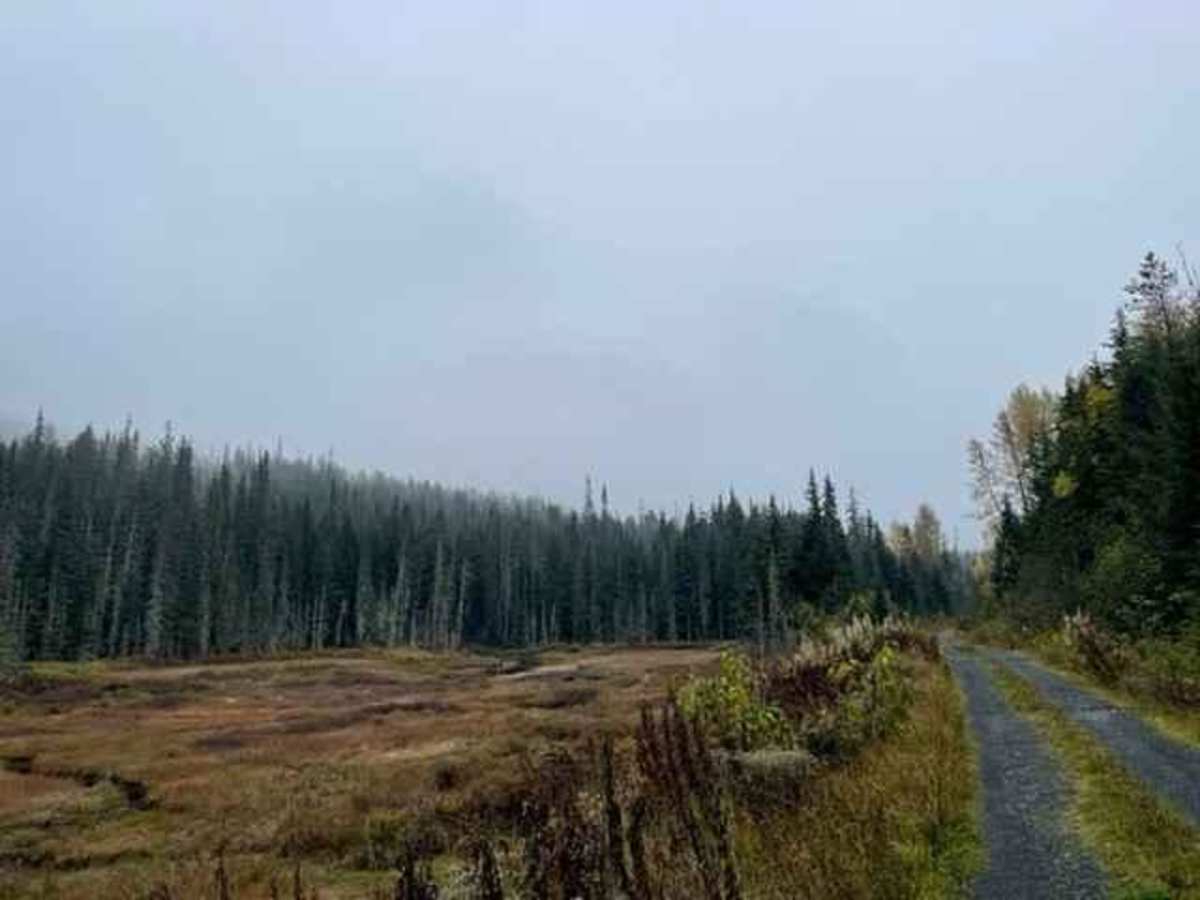 Brown Bear Road photo 5