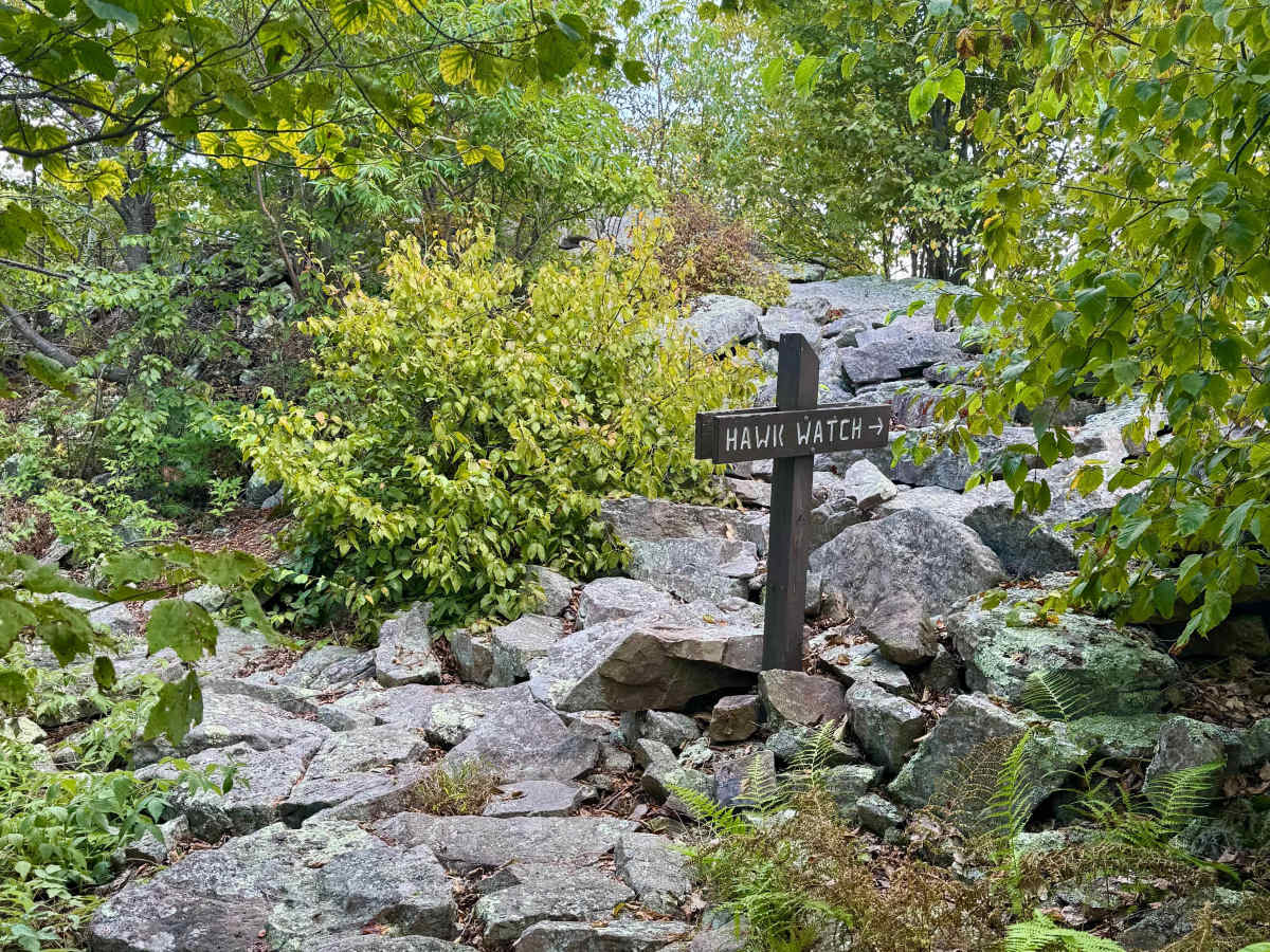 Allensville Road photo 5