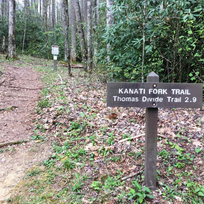 Near Kanati Fork Trail