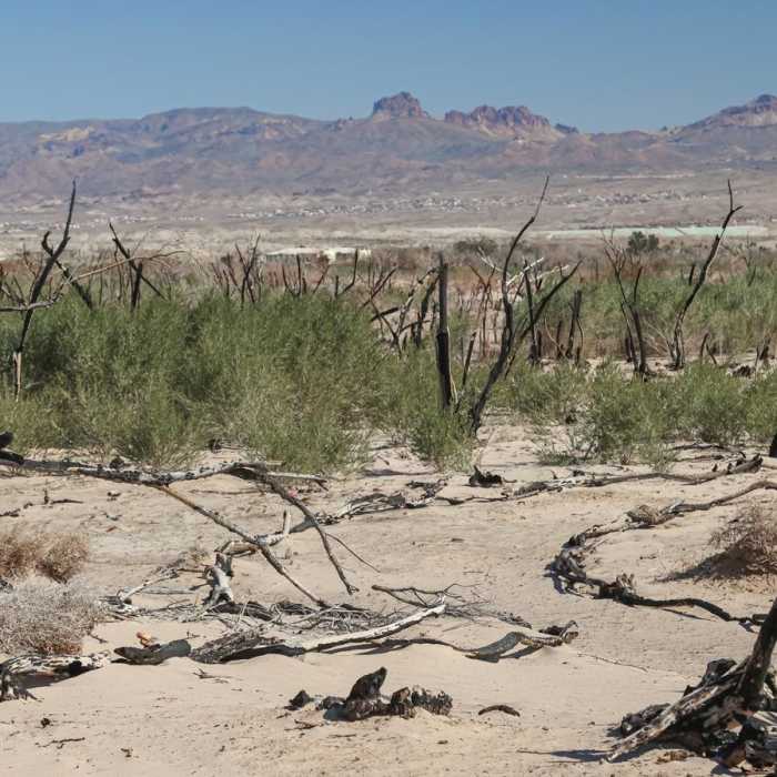 Near Big Sandy Trail