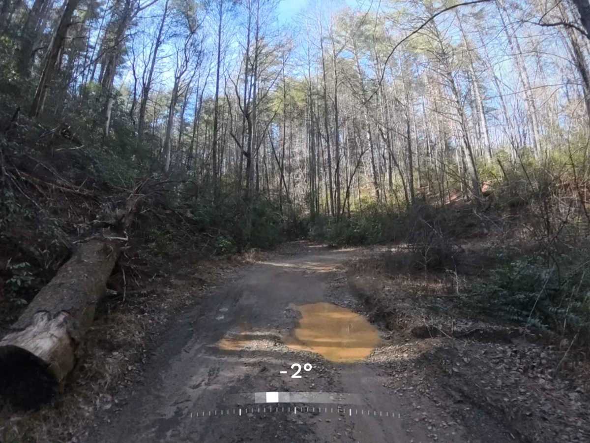 Raper Creek Road - FS 376 photo 4