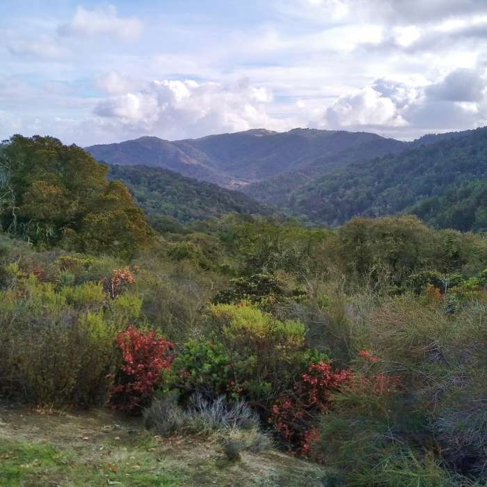 Near Tie Camp Trail