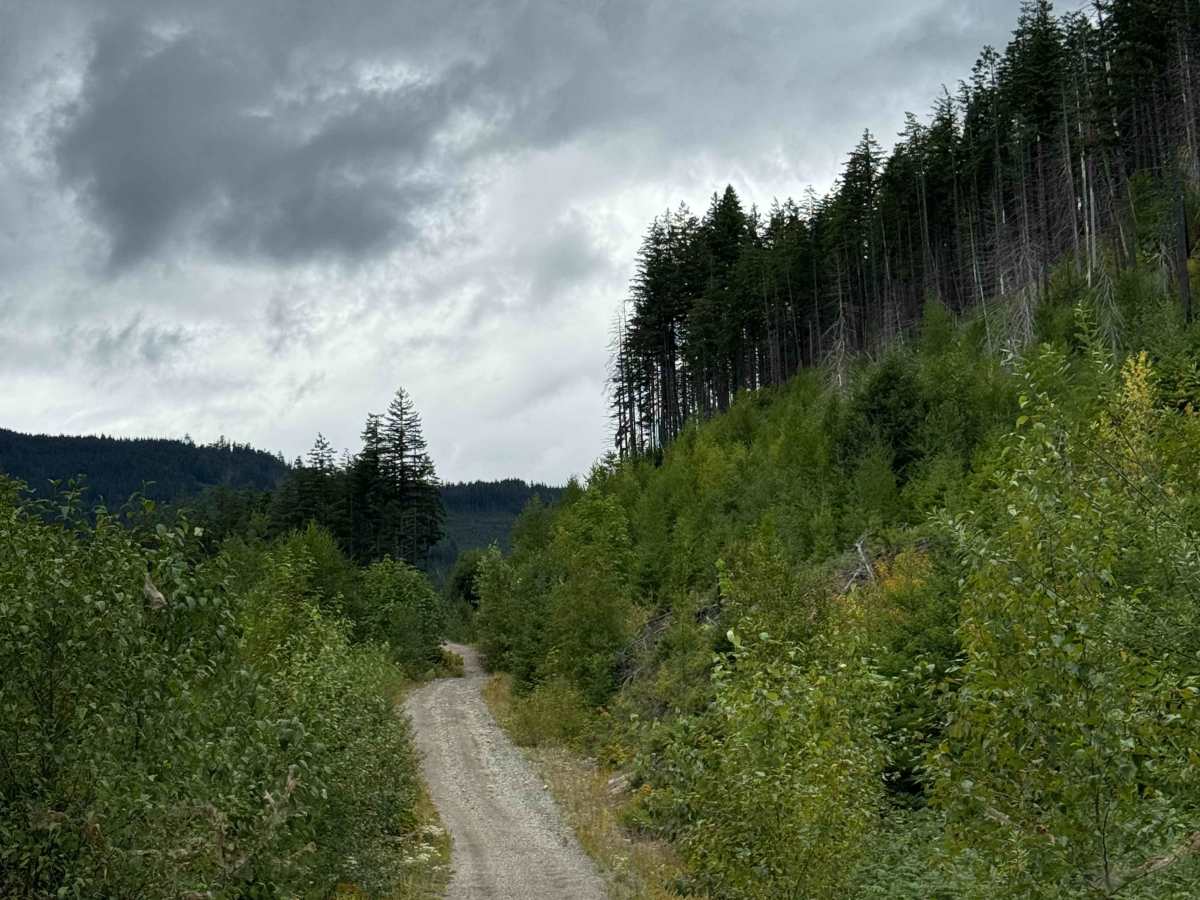 Lookout Lake photo 4