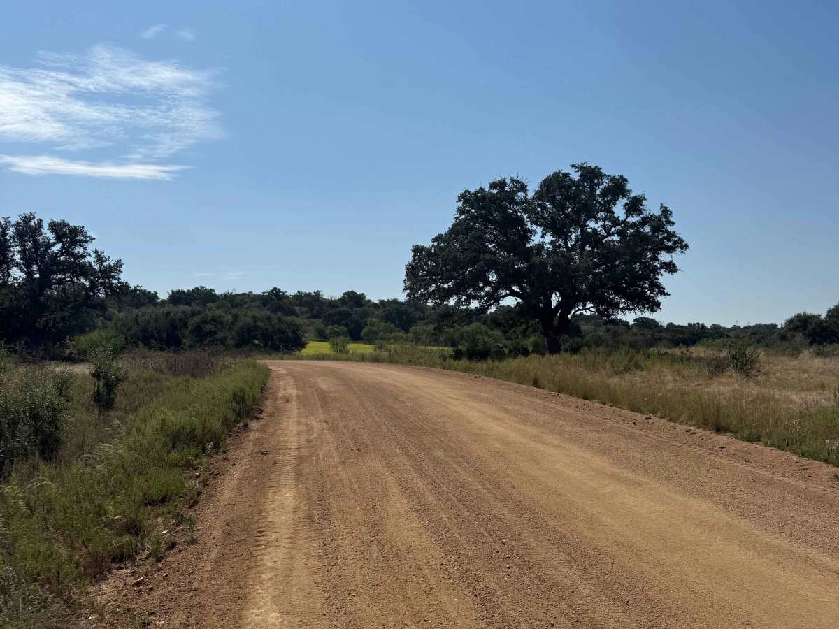 County Road 414 photo 5