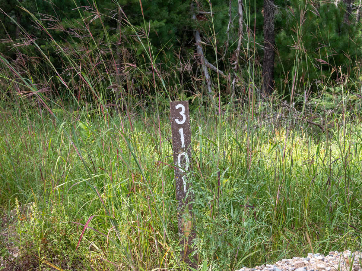 FS 3101 photo 2