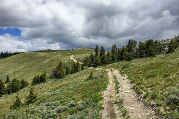 Bull Mountain