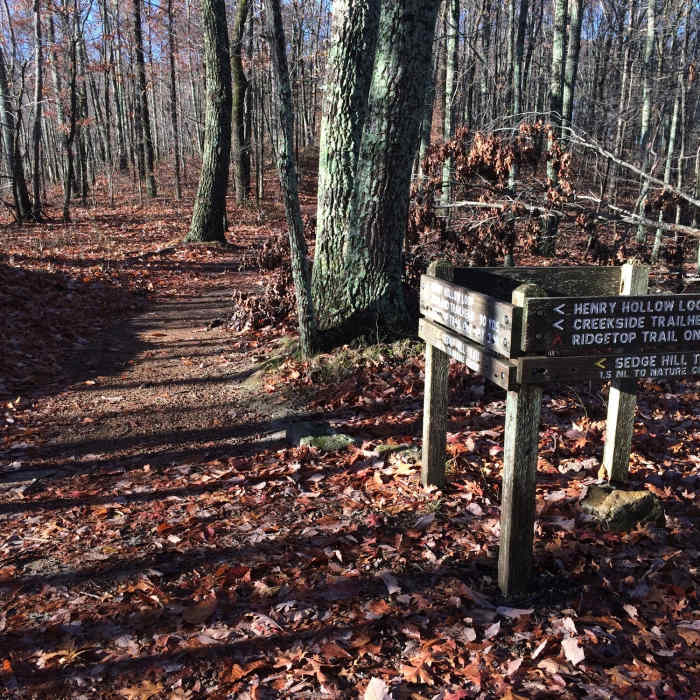 Loop trail begins here. You can go either direction, just follow the white blazes. Near Henry Hollow and Ridgetop