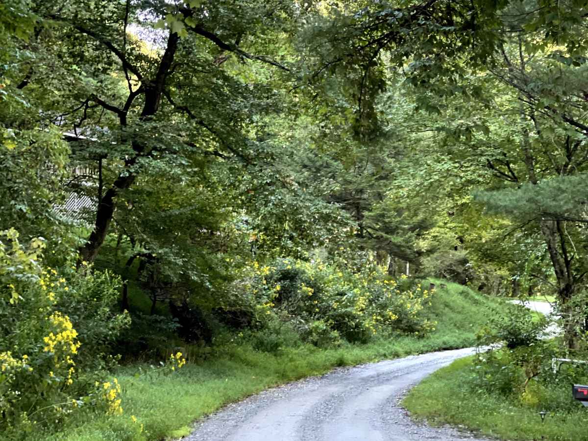 Jake's Mountain Road photo 2