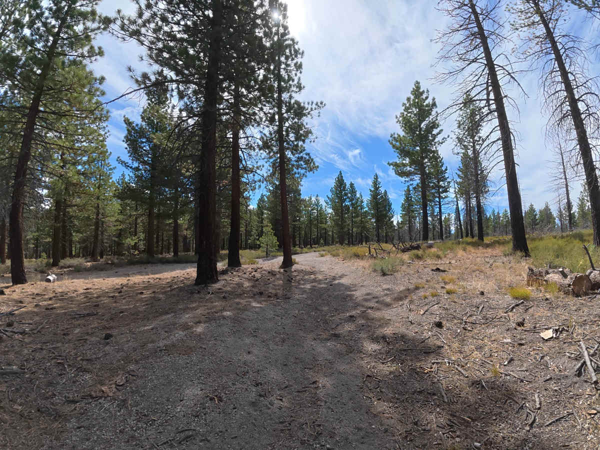 FS 1S125 trail photo