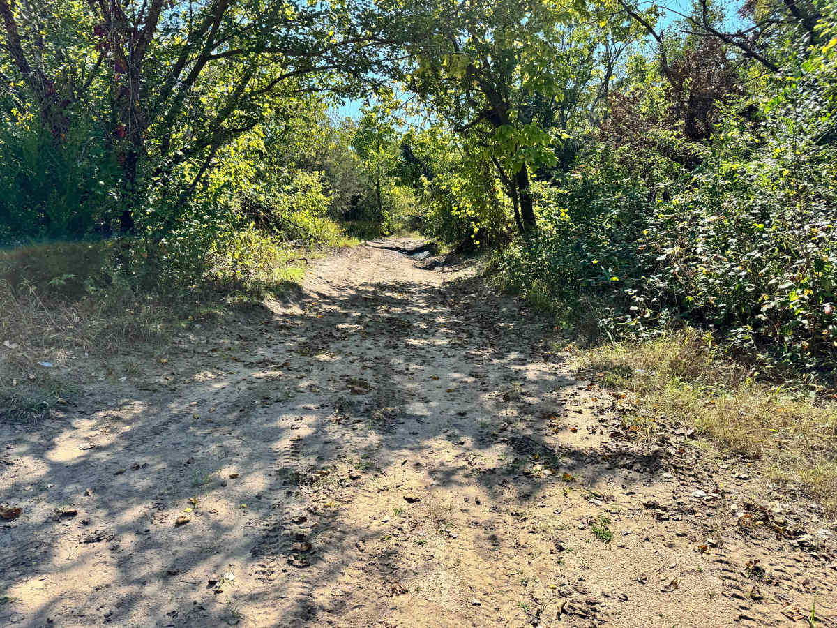 Torque Spec Trail photo 2