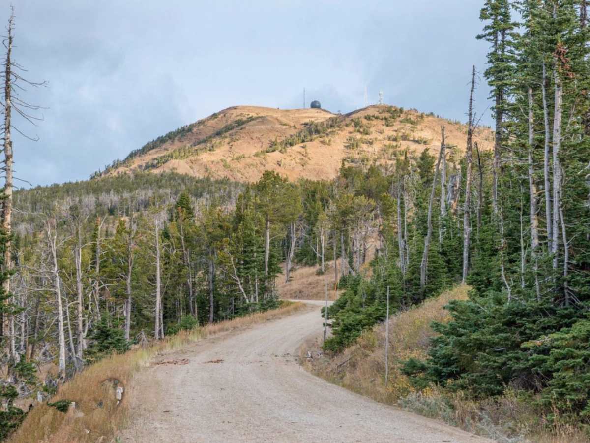 Sawtell Peak trail photo