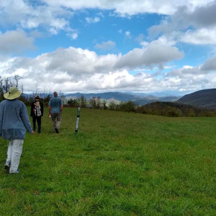 Near Ferguson Peak Trail