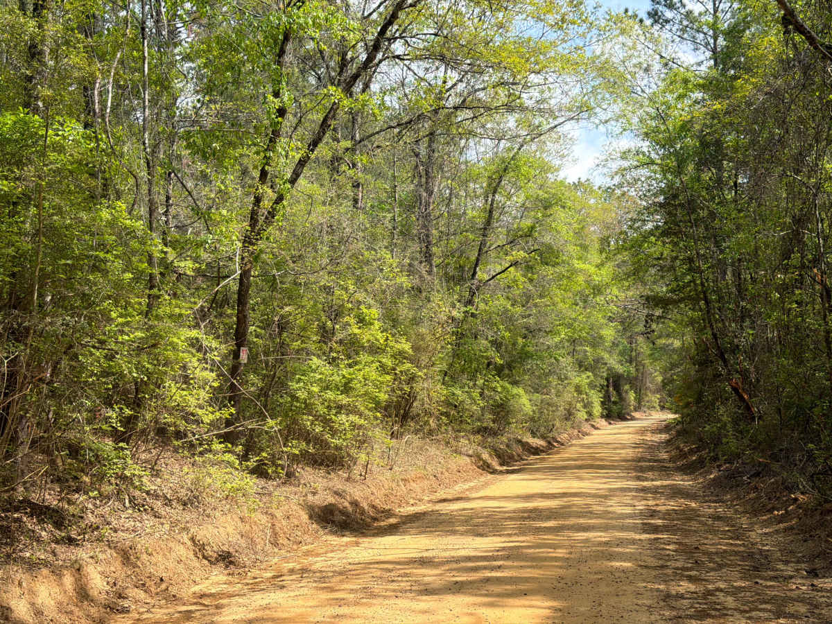 Bullard Church Road photo 5