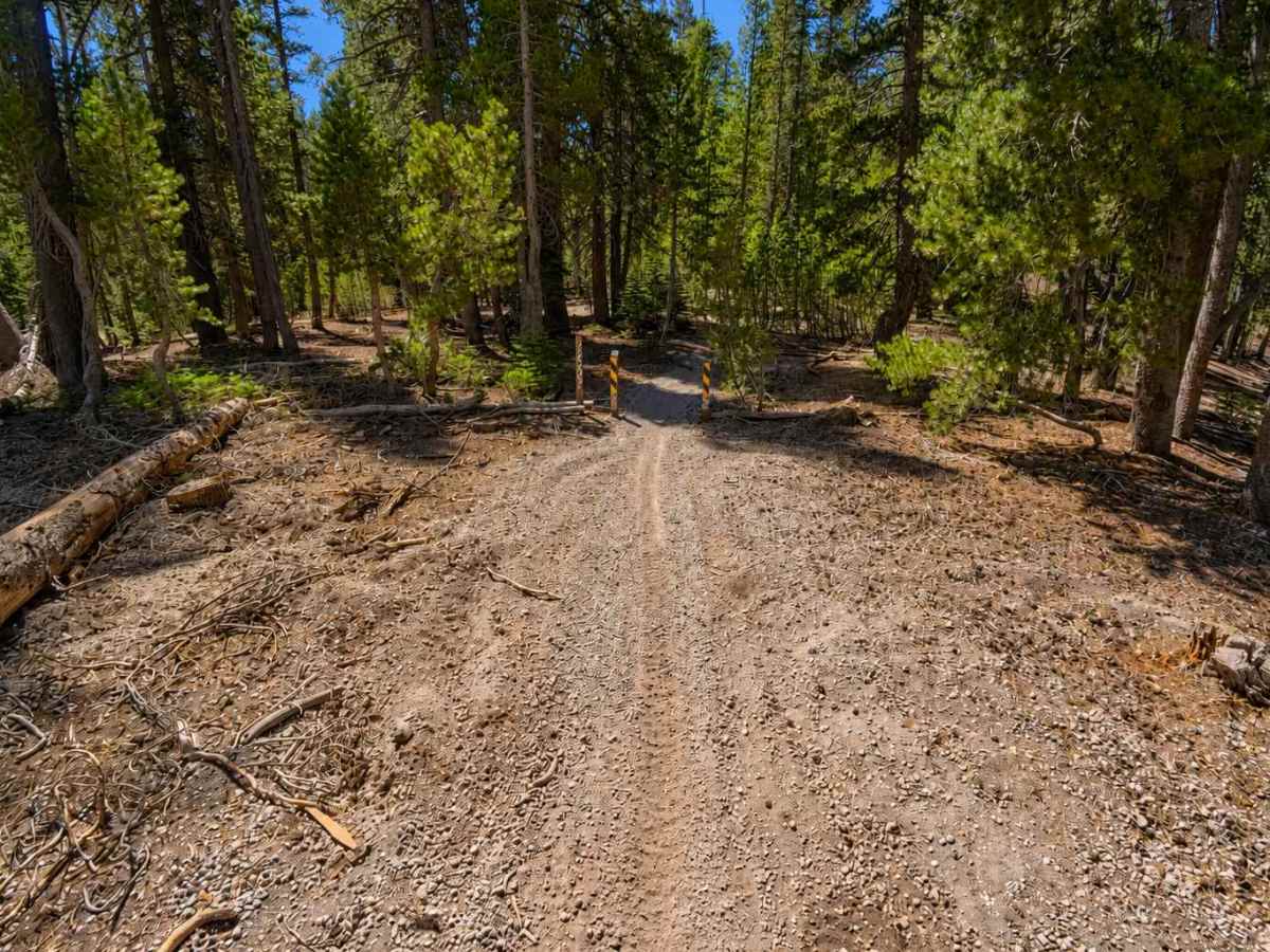 FS 27E209 trail photo