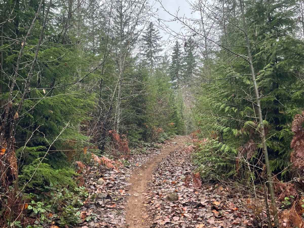 Wahoo/DDH - The Bypass Connector  trail photo