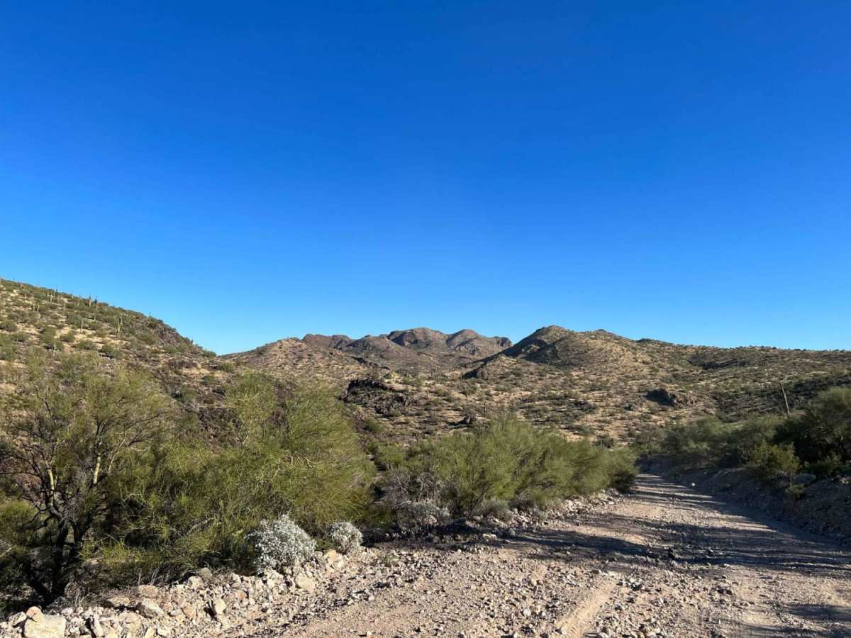 Backway to Alamo Lake photo 3