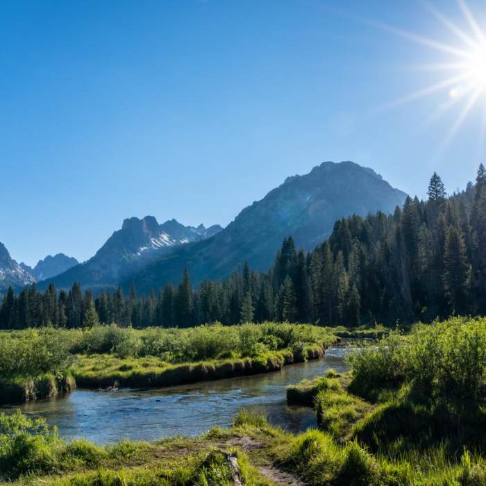 Near Fishhook Creek Trail
