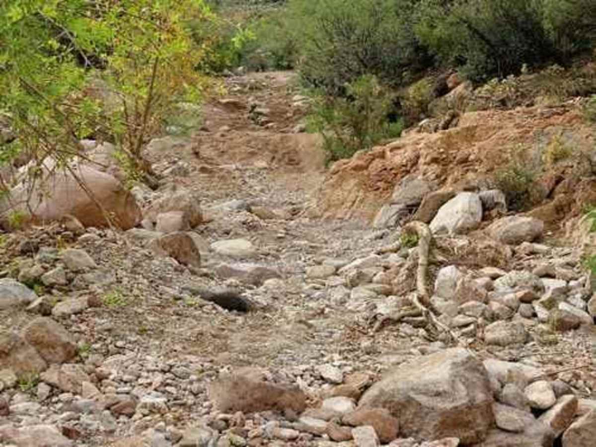Putz Wood Canyon photo 3