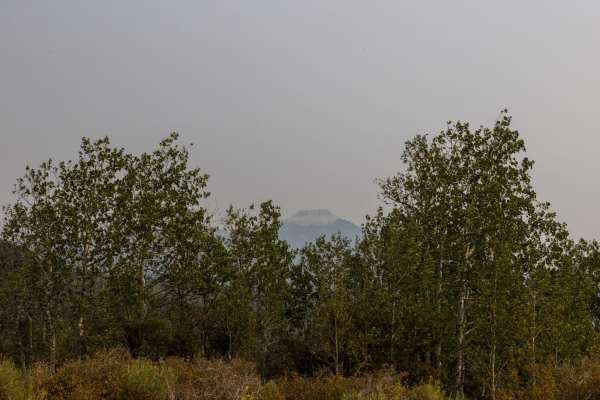Bull Valley Trail