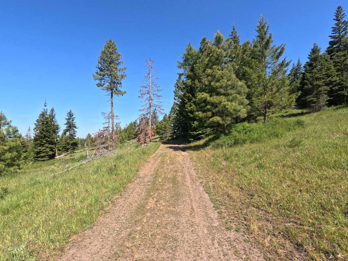 Vaca Loop - Trail 204 photo 3