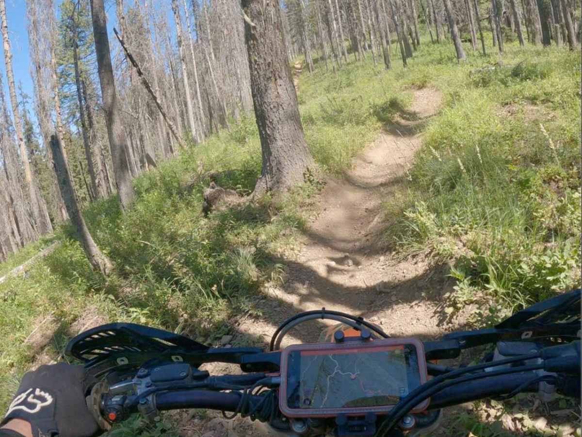 East Declaration Trail #416 photo 5