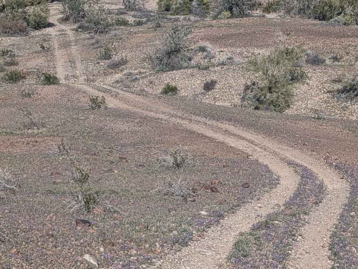 EC1108 trail photo