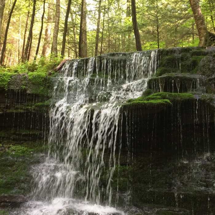 Waterfall along Mud Lake Trail Near Mud Lake Trail