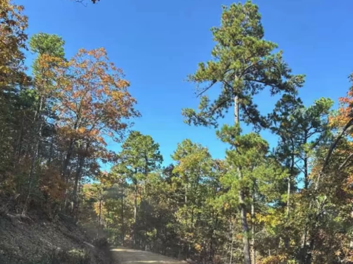 Jones Ranch Trail photo 5