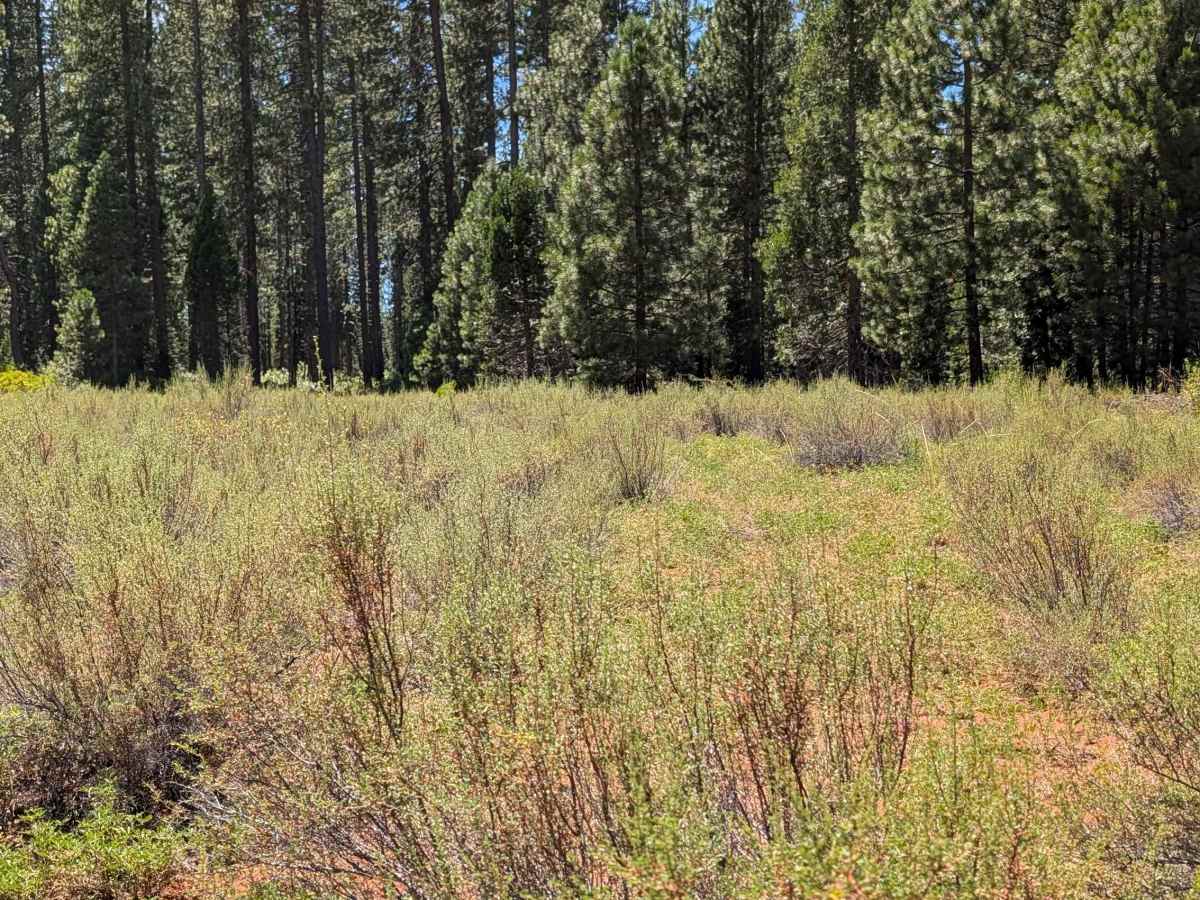 Bear Wallow East - FS 40N12 photo 5